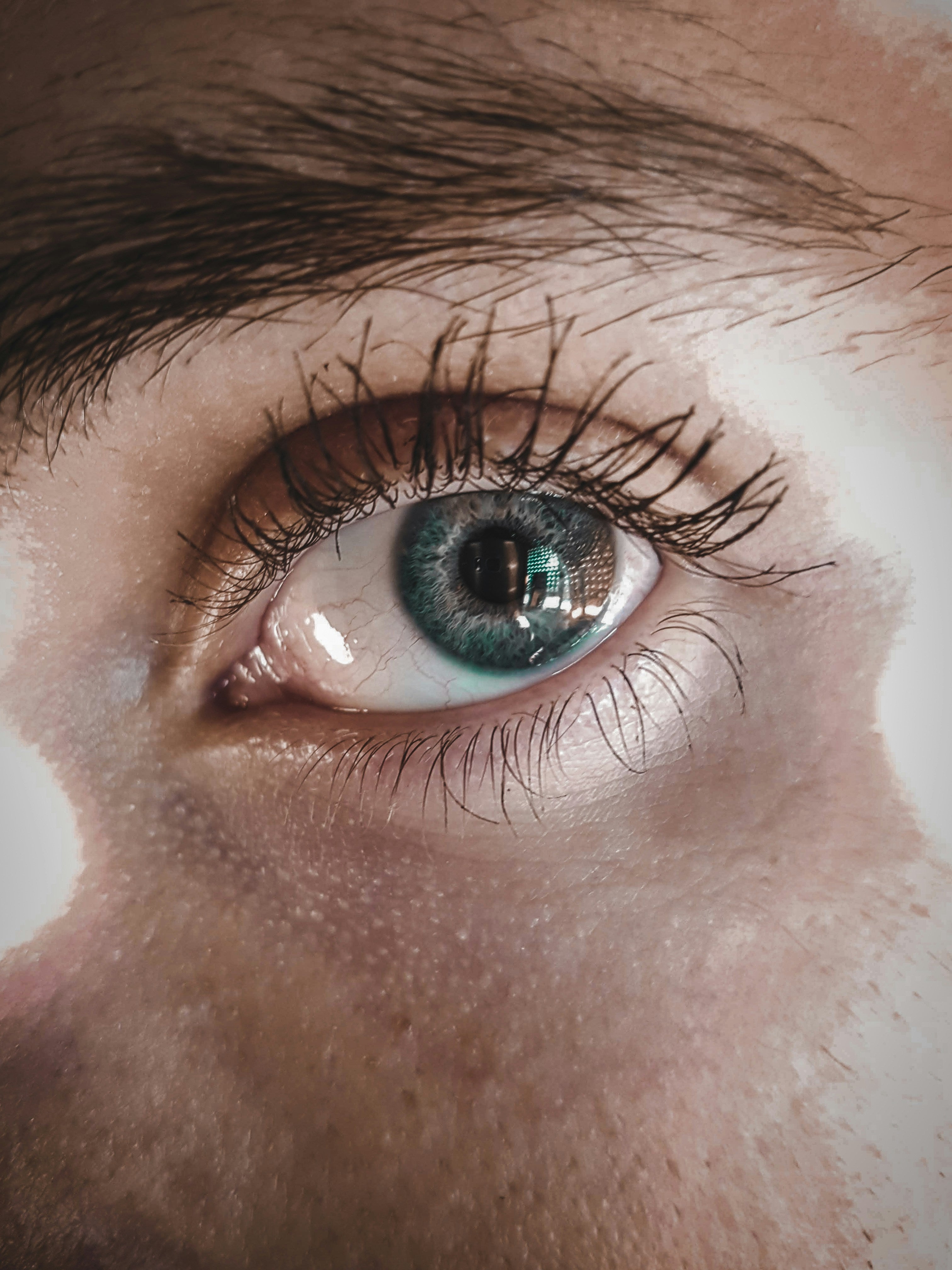 Lash_Brow_Serum_Anwendung.jpg