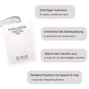 Hyaluron Facial Mask